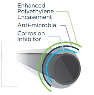 Cut-a-way of V-Bio Polyethylene Encasement